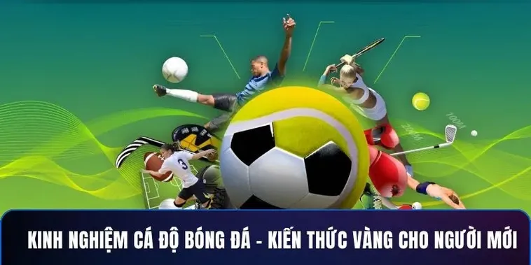 Cá Cược Bóng Đá 888B Dẫn Đầu Với Tỷ Lệ Thưởng Cao Nhất